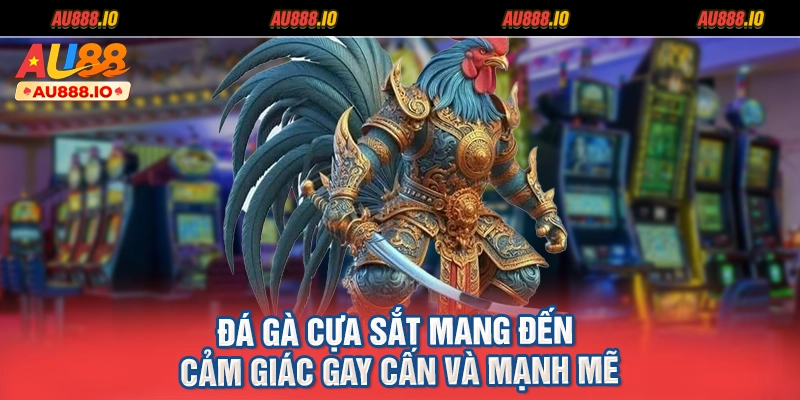 Đá gà cựa sắt mang đến cảm giác gay cấn và mạnh mẽ