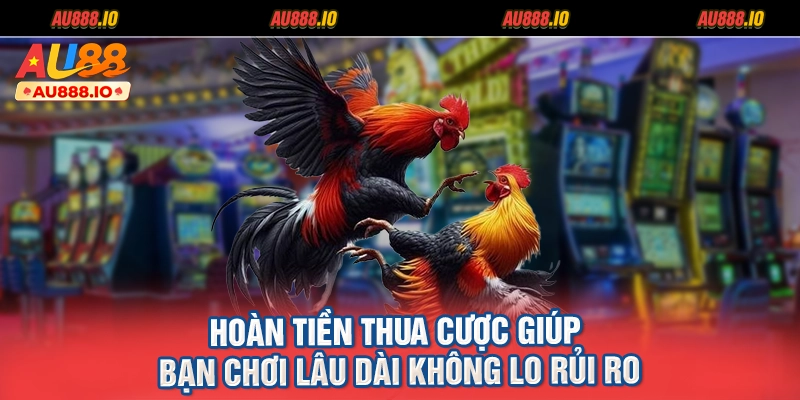 Hoàn tiền thua cược giúp bạn chơi lâu dài không lo rủi ro