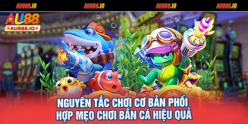 Nguyên tắc chơi cơ bản phối hợp mẹo chơi bắn cá hiệu quả