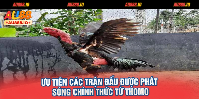 Ưu tiên các trận đấu được phát sóng chính thức từ Thomo