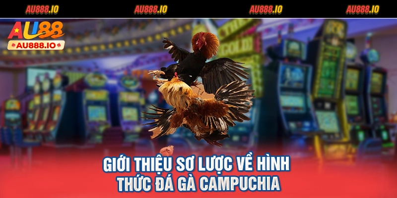 Giới thiệu sơ lược về hình thức đá gà Campuchia