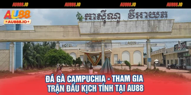 Đá Gà Campuchia - Tham Gia Trận Đấu Kịch Tính Tại AU88